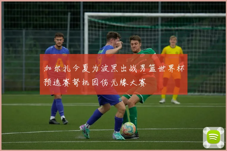 加尔扎今夏为波黑出战男篮世界杯预选赛弩机因伤无缘大赛