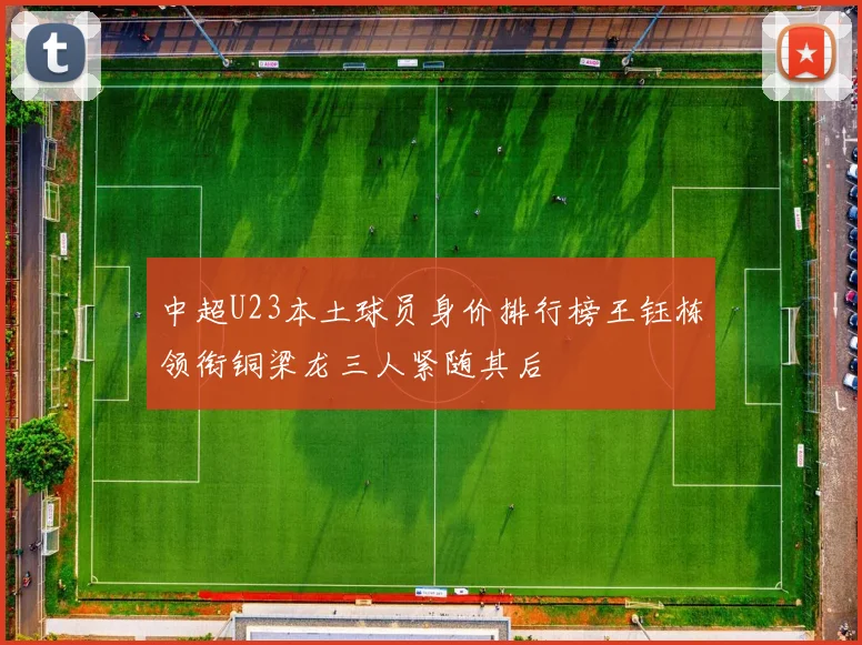 中超U23本土球员身价排行榜王钰栋领衔铜梁龙三人紧随其后