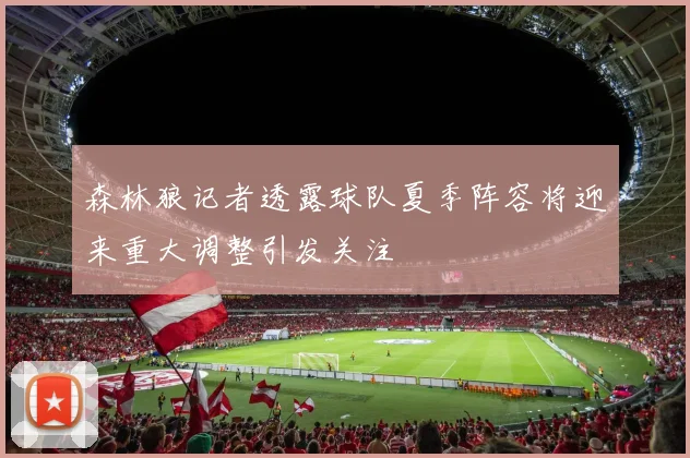 森林狼记者透露球队夏季阵容将迎来重大调整引发关注